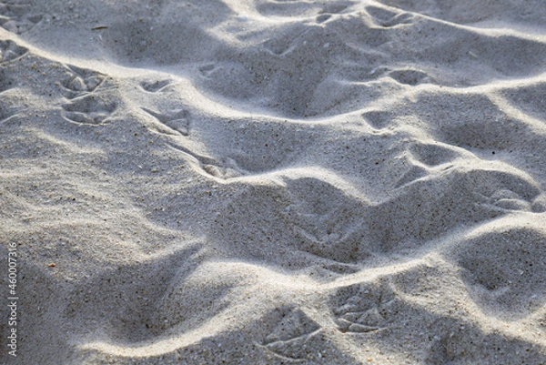 Obraz Flowing small dunes of white beach sand with bird footprints.
