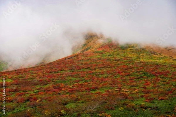 Obraz 紅葉の栗駒山