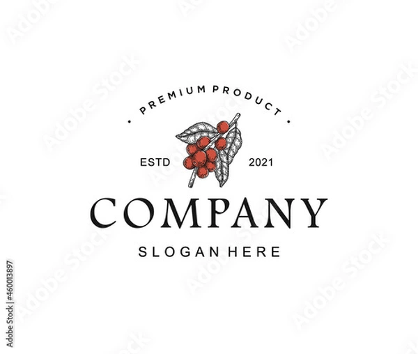 Fototapeta Coffe bean logo template