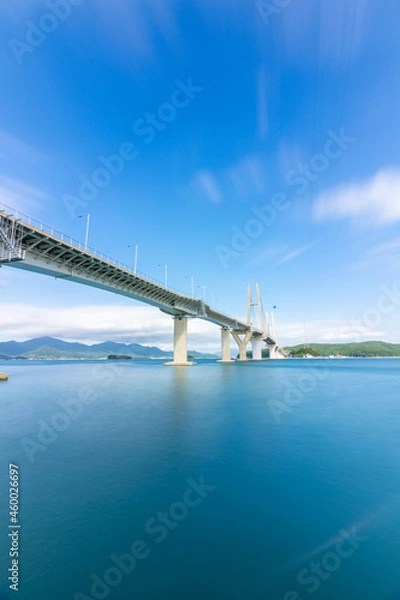 Fototapeta 소나무