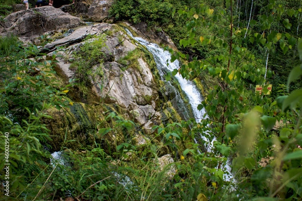Fototapeta moss covered rocks