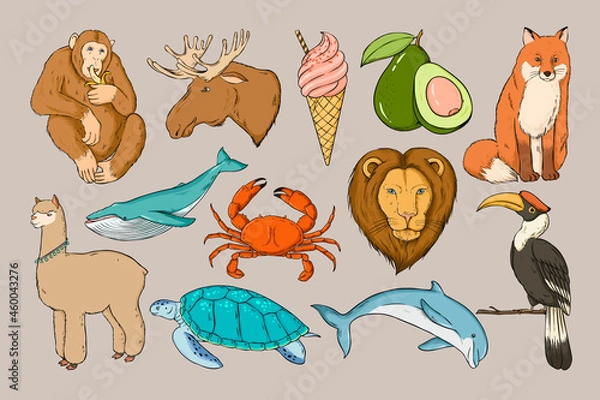 Obraz Vector animal sticker colorful clipart set