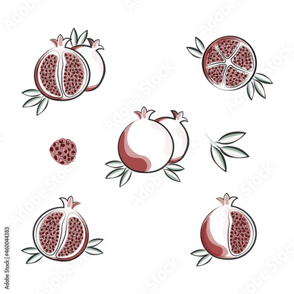 Obraz fruit pomegranate set template abstraction print vector illustration
