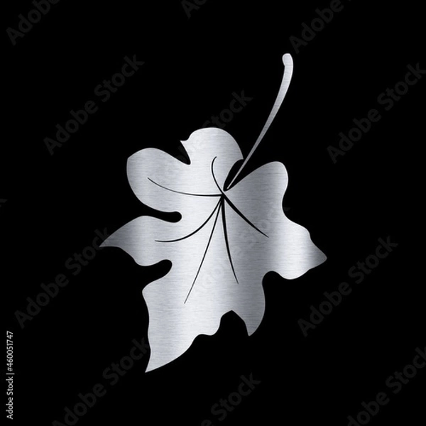 Fototapeta maple leaf on black background