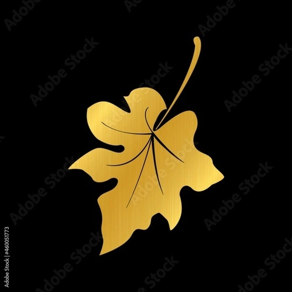 Fototapeta leaf on black background