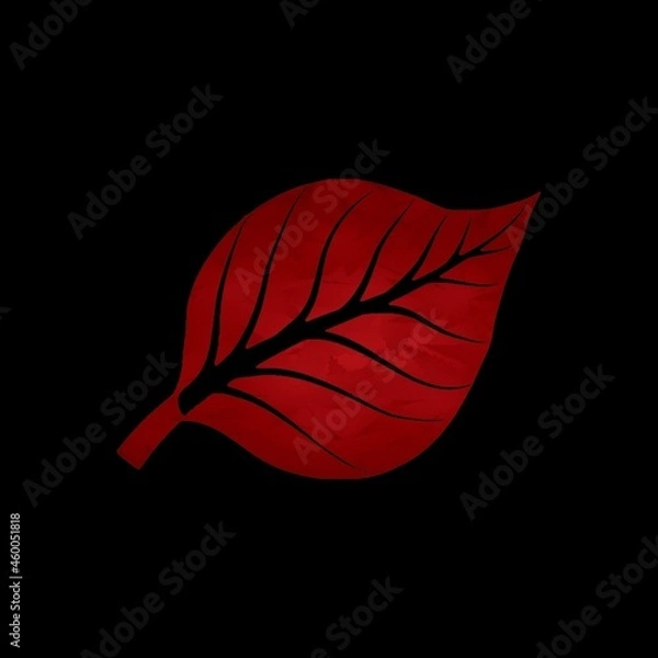 Fototapeta red leaf on black