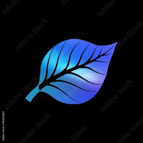 Fototapeta feather and leaf