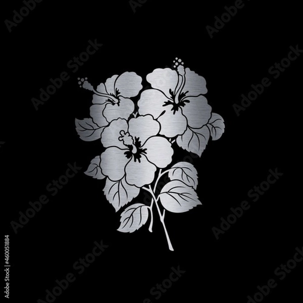 Fototapeta white flower