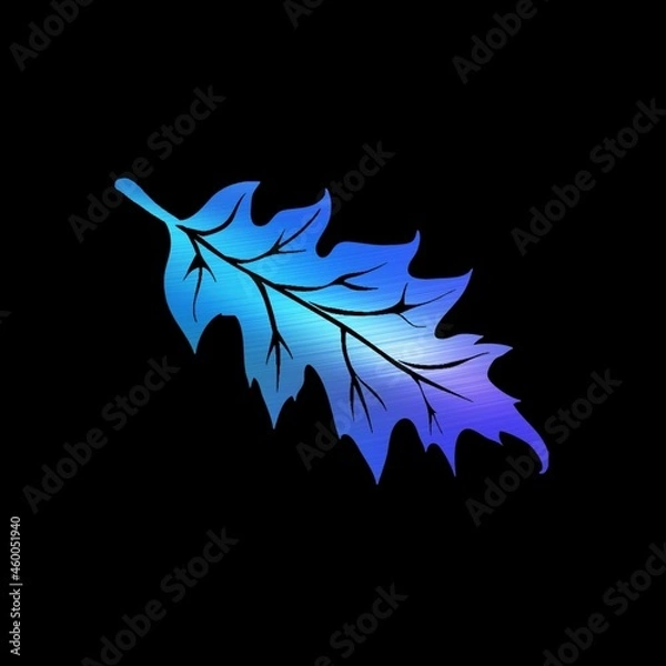 Fototapeta leaf on black