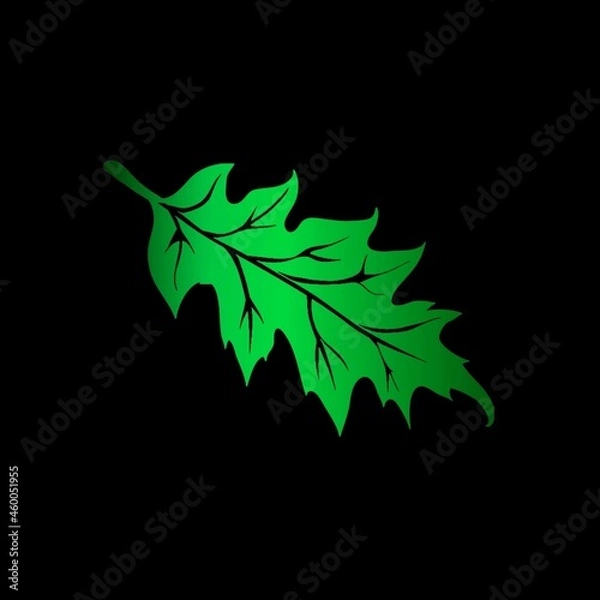 Fototapeta leaf on black background