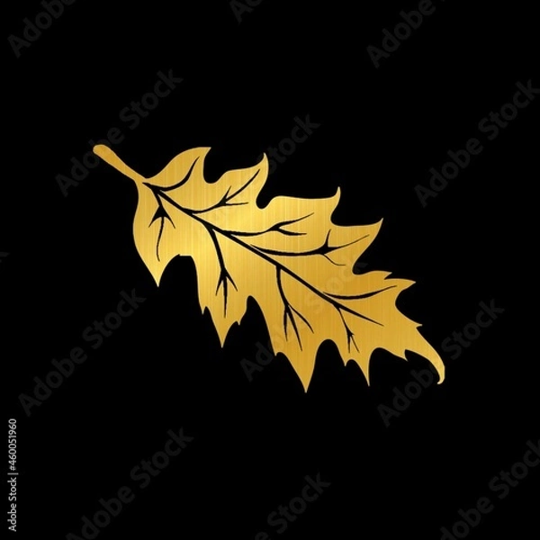 Fototapeta maple leaf on black