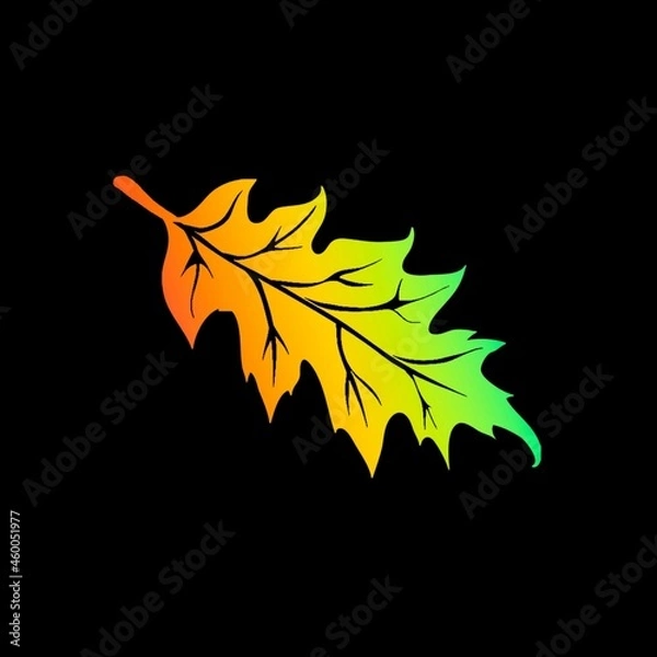 Fototapeta maple leaf on black