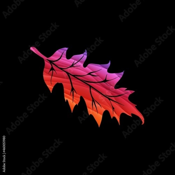 Fototapeta maple leaf on black