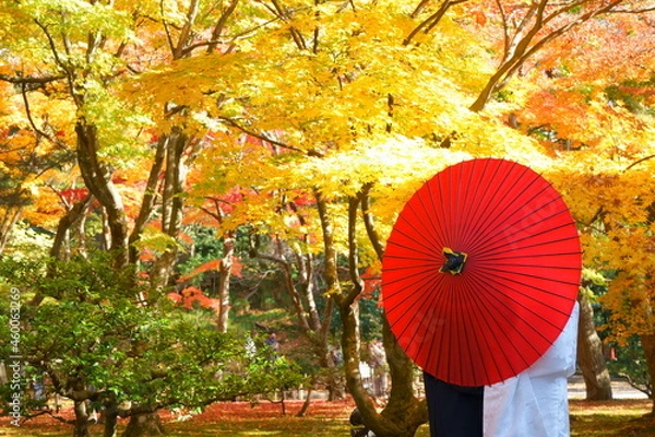 Obraz 秋の兼六園で和装フォトウェディング