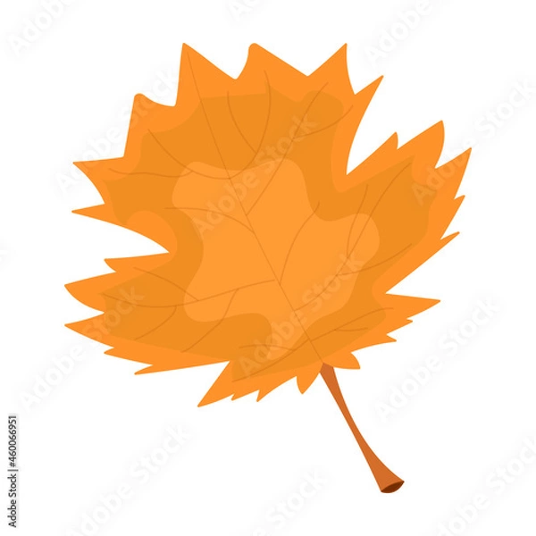 Obraz Autumn leaf orange color close up isolated on white background vector illustration