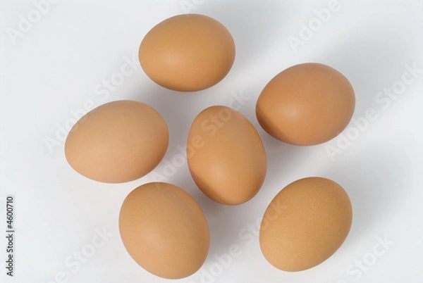 Obraz 6 uova