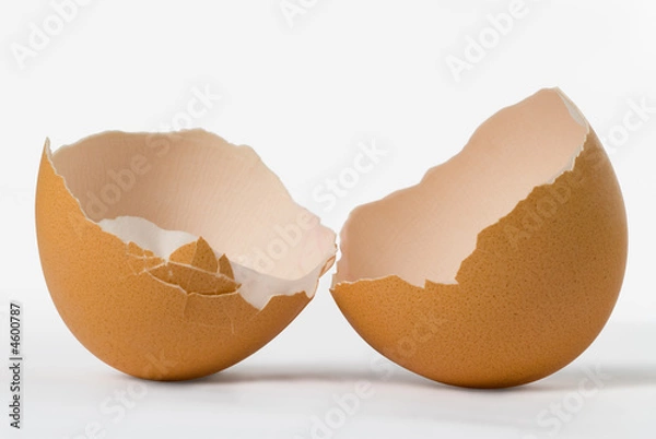 Obraz Uovo aperto