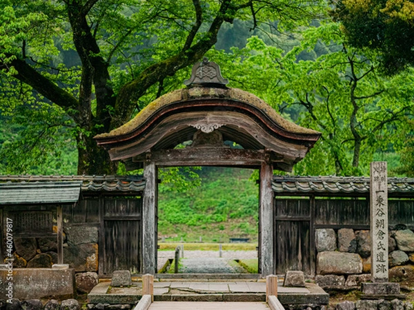 Fototapeta 日本の美　特別史跡
一乗谷朝倉氏遺跡