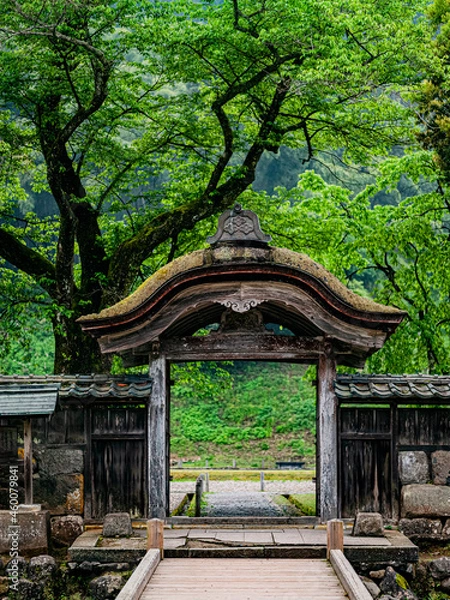 Fototapeta 日本の美　特別史跡
一乗谷朝倉氏遺跡