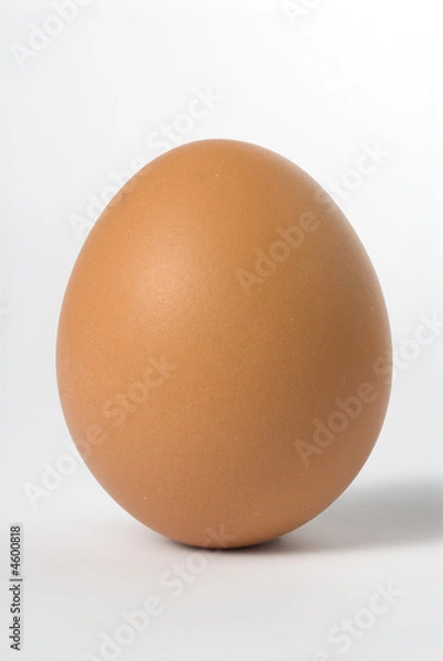 Obraz wyprostowane jajko 2
