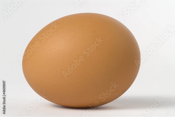 Obraz uovo  sdraiato 2