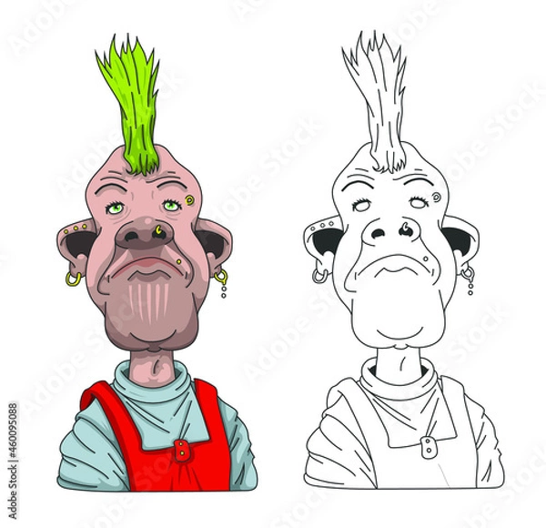 Fototapeta Punk à crête