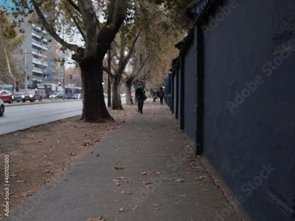 Obraz street in the city