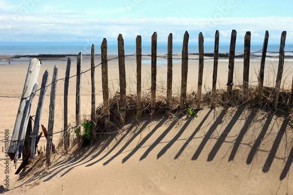 Fototapeta peaceful scene of old wooden fence in sand dunes with beach background