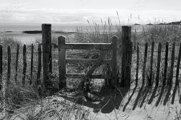 Fototapeta Monochrome image of old wooden gate and fence on the beach