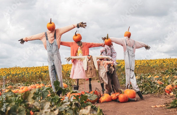 Obraz Spooky scarecrows pumpkins field