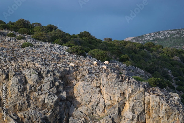 Obraz rocks in the mountains