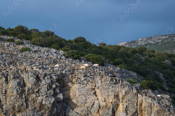 Obraz rocks in the mountains