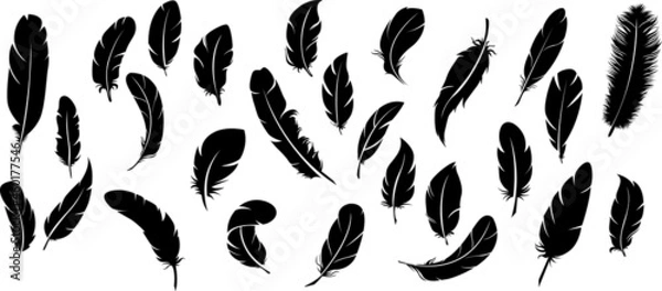 Fototapeta soft bird plumage set. Big set of bird feathers design. fluffy swan. Pen icons design. set of bird feathers design