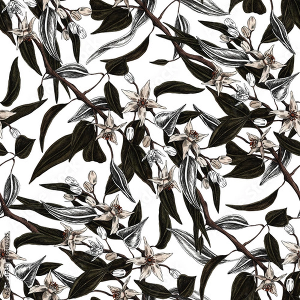 Obraz Vintage fruits illustration seamless pattern