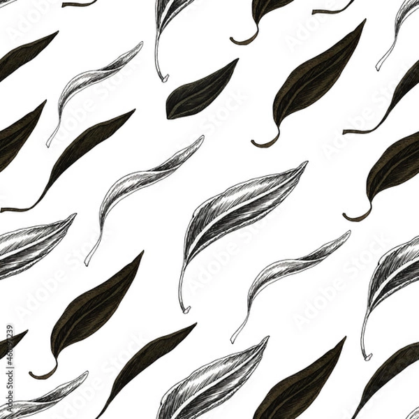 Obraz Vintage fruits illustration seamless pattern