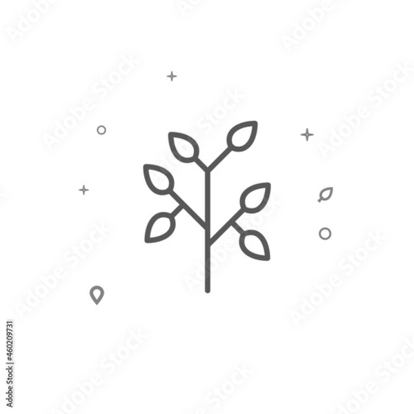 Fototapeta Branch with leaves tree simple vector line icon. Grey sign isolated on white background. Editable stroke