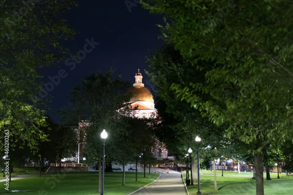 Obraz MA State House