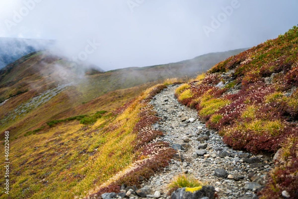 Fototapeta 富山県立山町の立山の秋の紅葉の季節に登山している風景 Scenery of climbing Tateyama Mountain in Tateyama Town, Toyama Prefecture, Japan during the season of autumn leaves. 