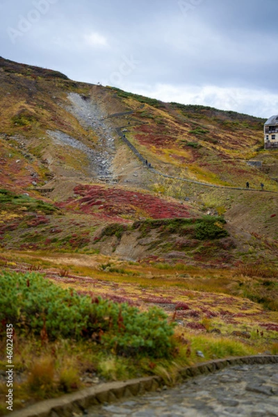 Fototapeta 富山県立山町の立山の秋の紅葉の季節に登山している風景 Scenery of climbing Tateyama Mountain in Tateyama Town, Toyama Prefecture, Japan during the season of autumn leaves. 
