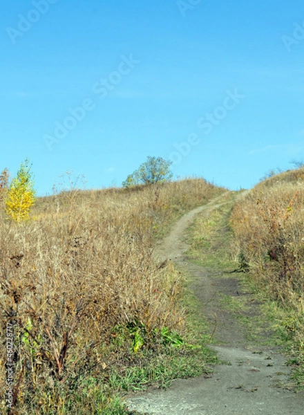 Fototapeta path through the field