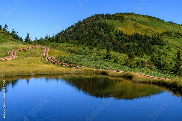 Obraz 駒ノ大池と会津駒ヶ岳