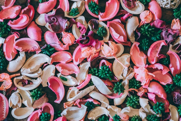 Obraz クリスマスや春の雰囲気にぴったり！背景に使える木の実や植物のイメージカット