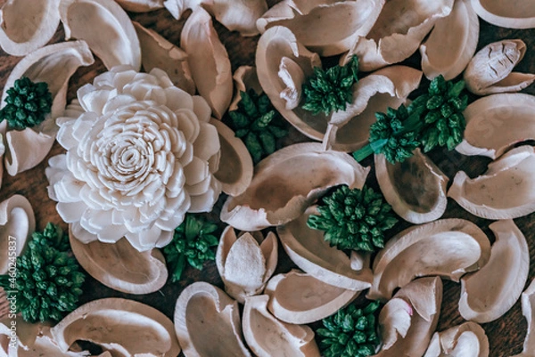 Obraz 背景に使える木の実イメージカット　白色背景