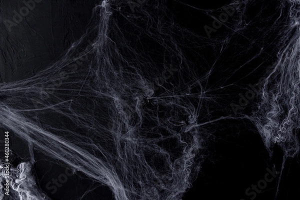 Fototapeta Halloween background with spider web  on the black background. Happy Halloween concept.