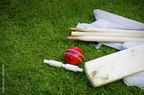 Fototapeta cricket