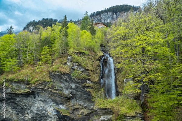 Fototapeta Reichenbach Waterfall. The Reichenbach Falls are a waterfall cascade of seven steps on the stream called Rychenbach in the Bernese Oberland region of Switzerland
