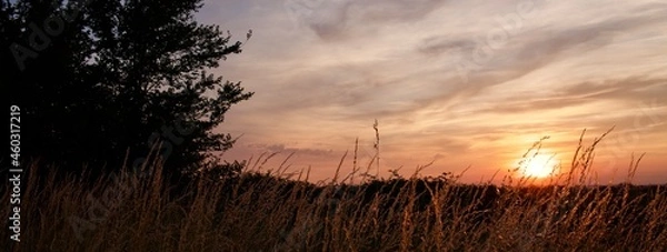 Obraz sunset over the field
