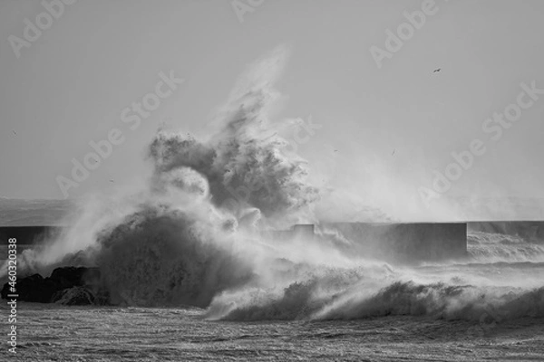 Obraz Stormy wave splash