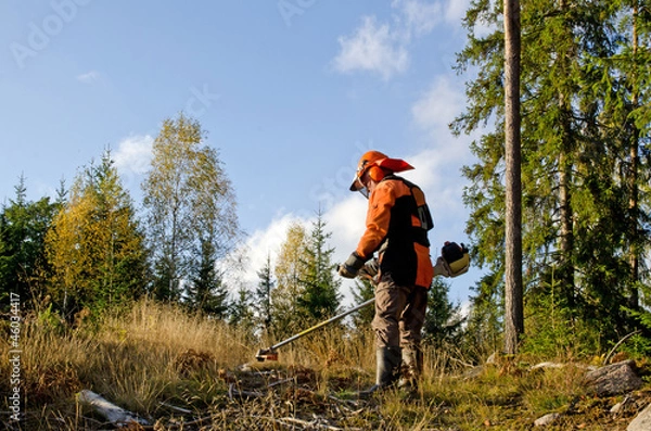 Obraz Worker with a brush cutter