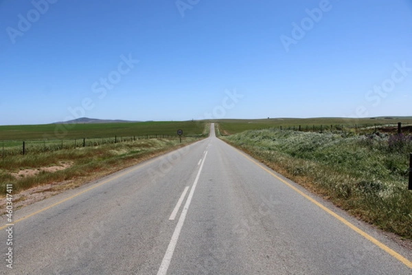 Obraz road in the countryside
